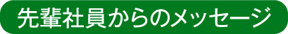 先輩社員からのメッセージ
